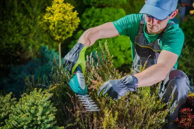 landscaping services Trumansburg